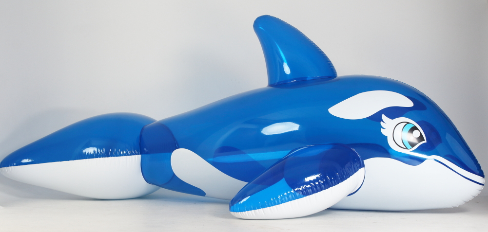 Whale 5m blue transparent_4